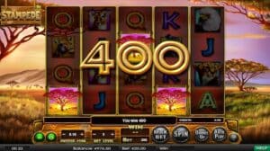 Hawkplay Online Casino-Slot 15