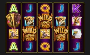 Hawkplay Online Casino-Slot 16