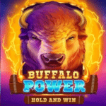 No.5 Slot Game-Buffalo Power